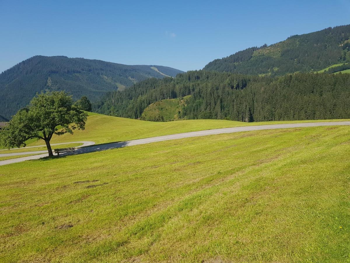 Appartement Mühlebnerhof Ramsau am Dachstein Exterior foto